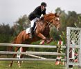 Equitation - saut d'obstacle