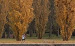 Parc de Sceaux