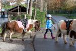 Poney enfants