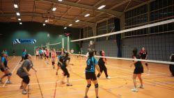 A_site_Ufolep_volley_Ufolep_44.jpg