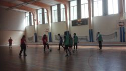 Dossier_35_GEM_fustal_gymnase.jpg