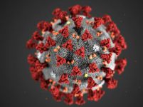 Net_coronavirus.jpg