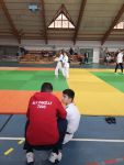 Dossier_judo_AL_VENISSIEUX_PARILLY_c_Ufolep_69.jpg