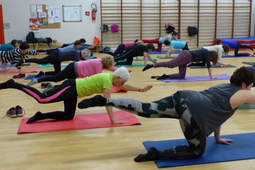 Zoom_bloc_4_ALBG_gym_au_sol.JPG