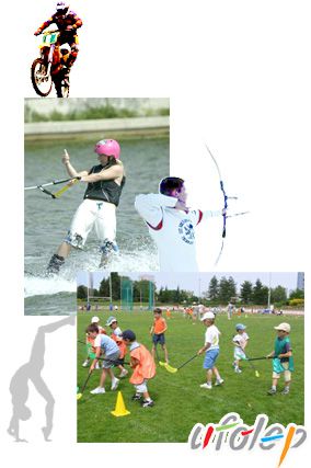 p6_1.jpg
