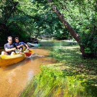 Dossier_p16_Ecotourisme_89_Nicolas_GORNAS_PNRLG.jpg