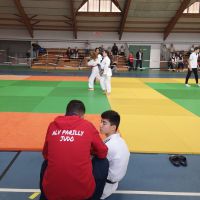 Dossier_judo_AL_VENISSIEUX_PARILLY_c_Ufolep_69.jpg