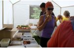 Concours photos 2012  "Sport pour tous et d�veloppement durable" 